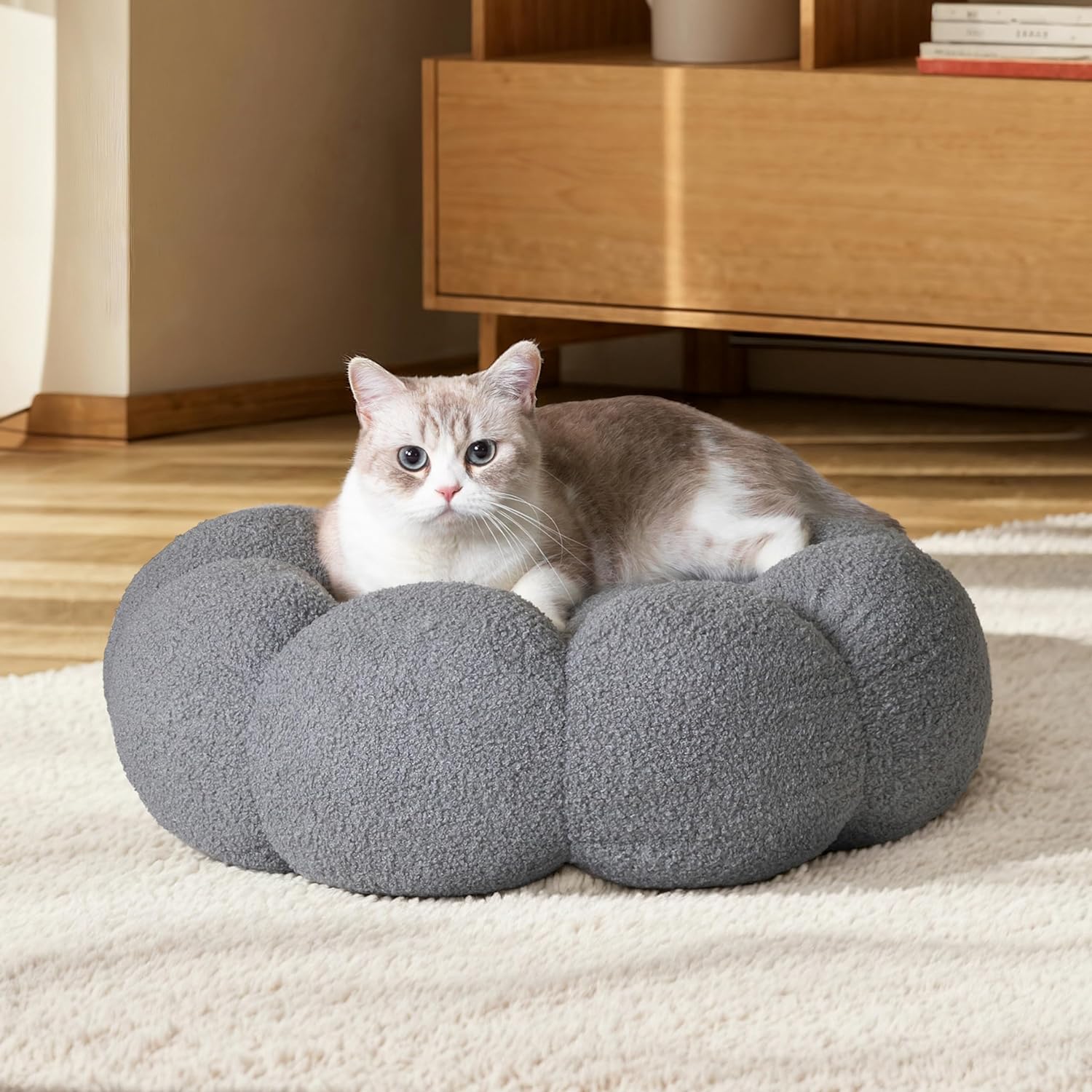 Calming And Fluffy Flower Beds For Cats