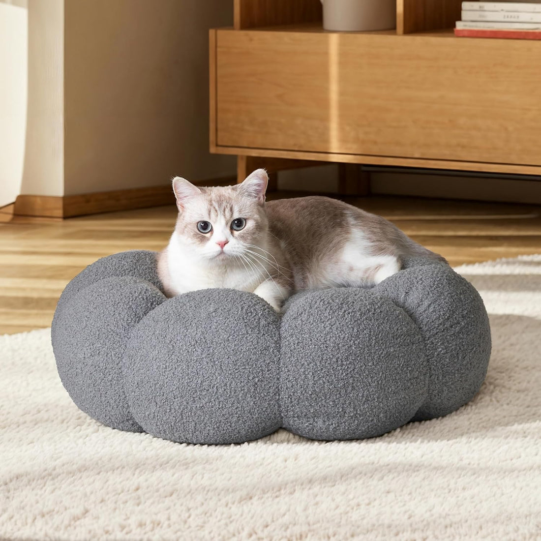 Calming And Fluffy Flower Beds For Cats